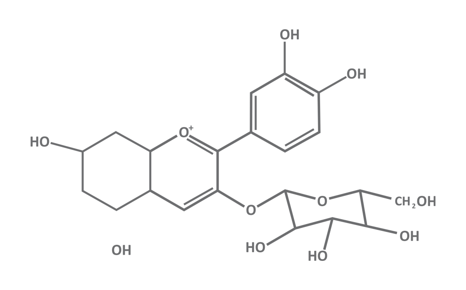 C3G (Cianidina 3-Glucosídeo)