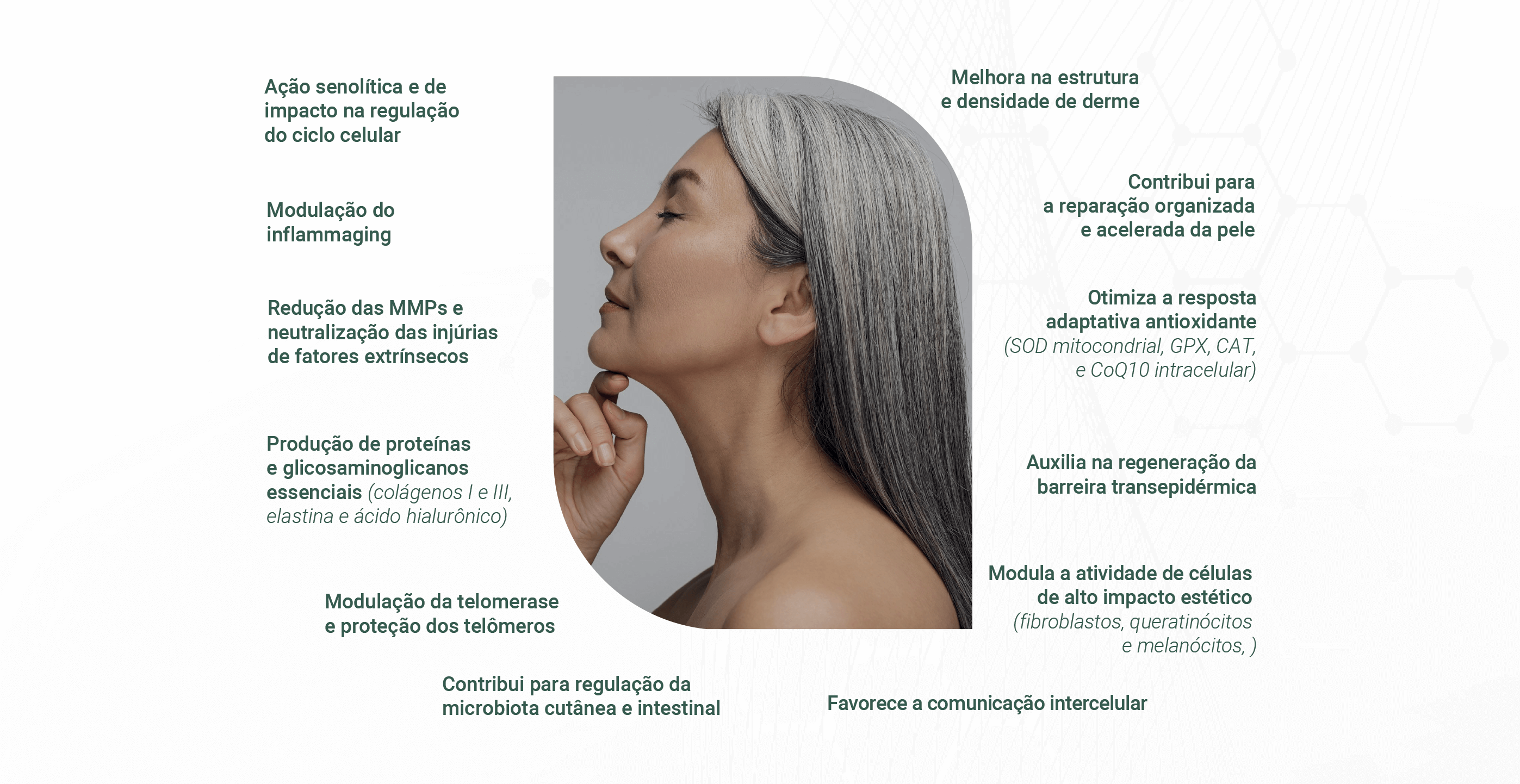 Imagem corpo humano