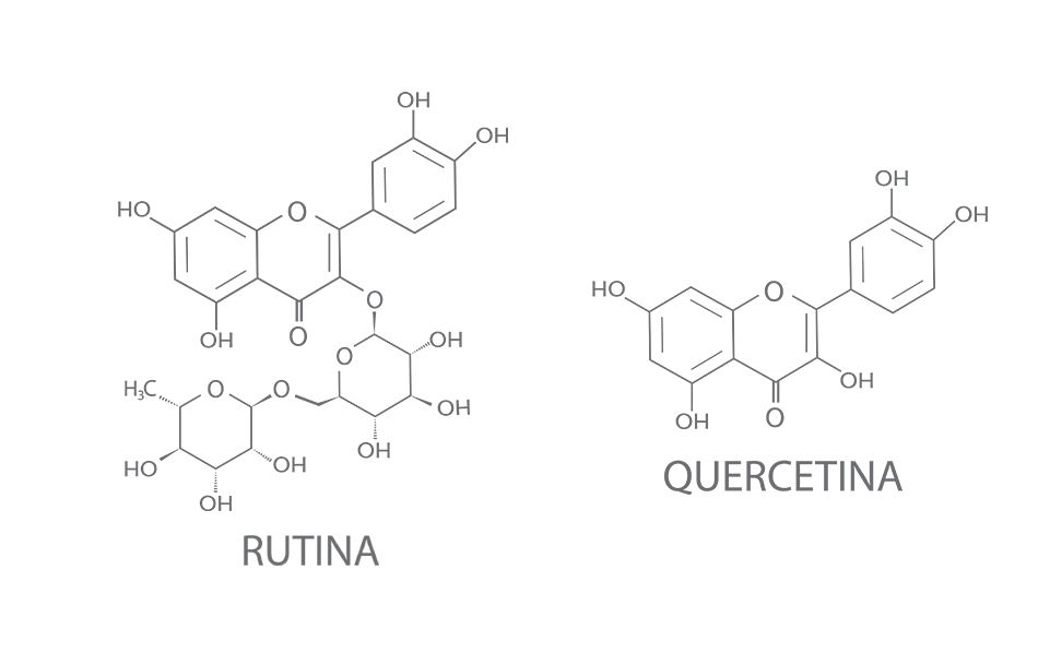 Rutina e Quercetina