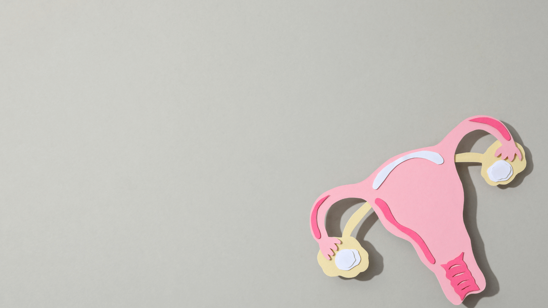 Fase da menopausa: o que acontece em cada momento?