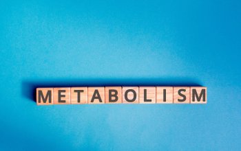 Por que meu corpo não responde mais como antes? Entenda o metabolismo resistente 