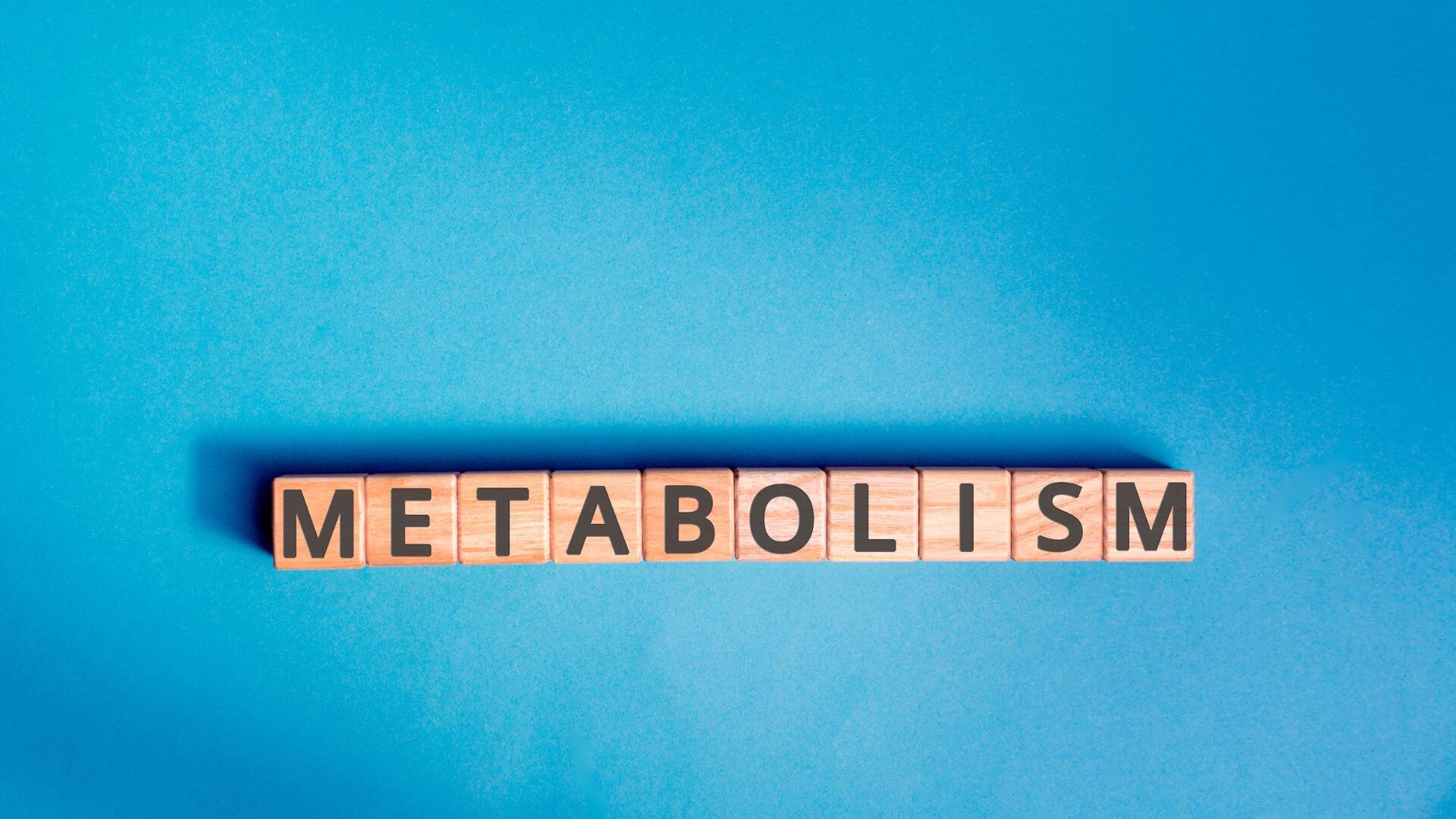 Por que meu corpo não responde mais como antes? Entenda o metabolismo resistente 