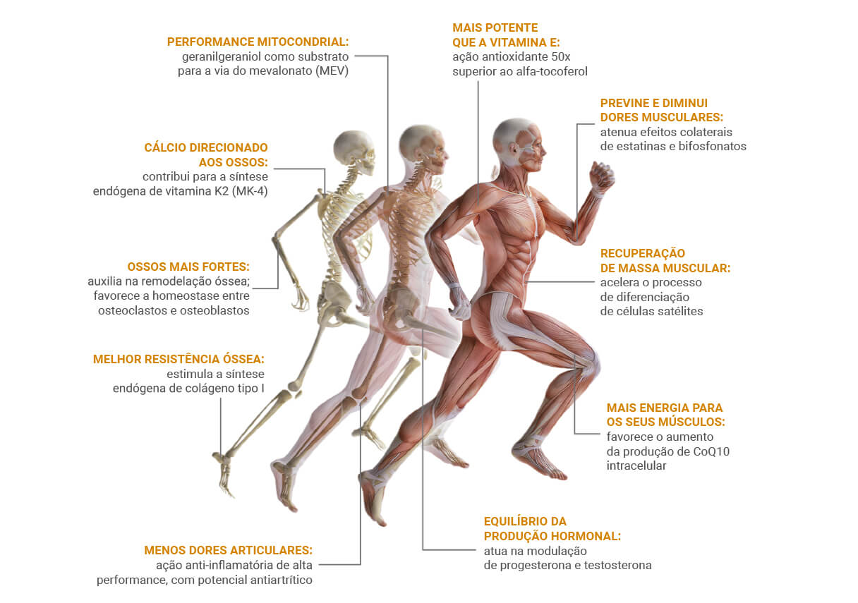 Imagem corpo humano