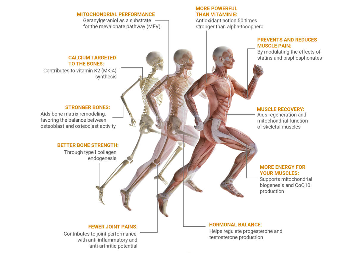 Imagem corpo humano