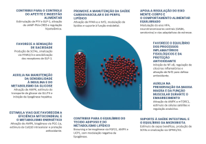 metabolismo resistente