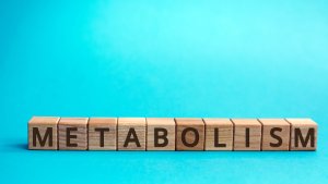 metabolismo