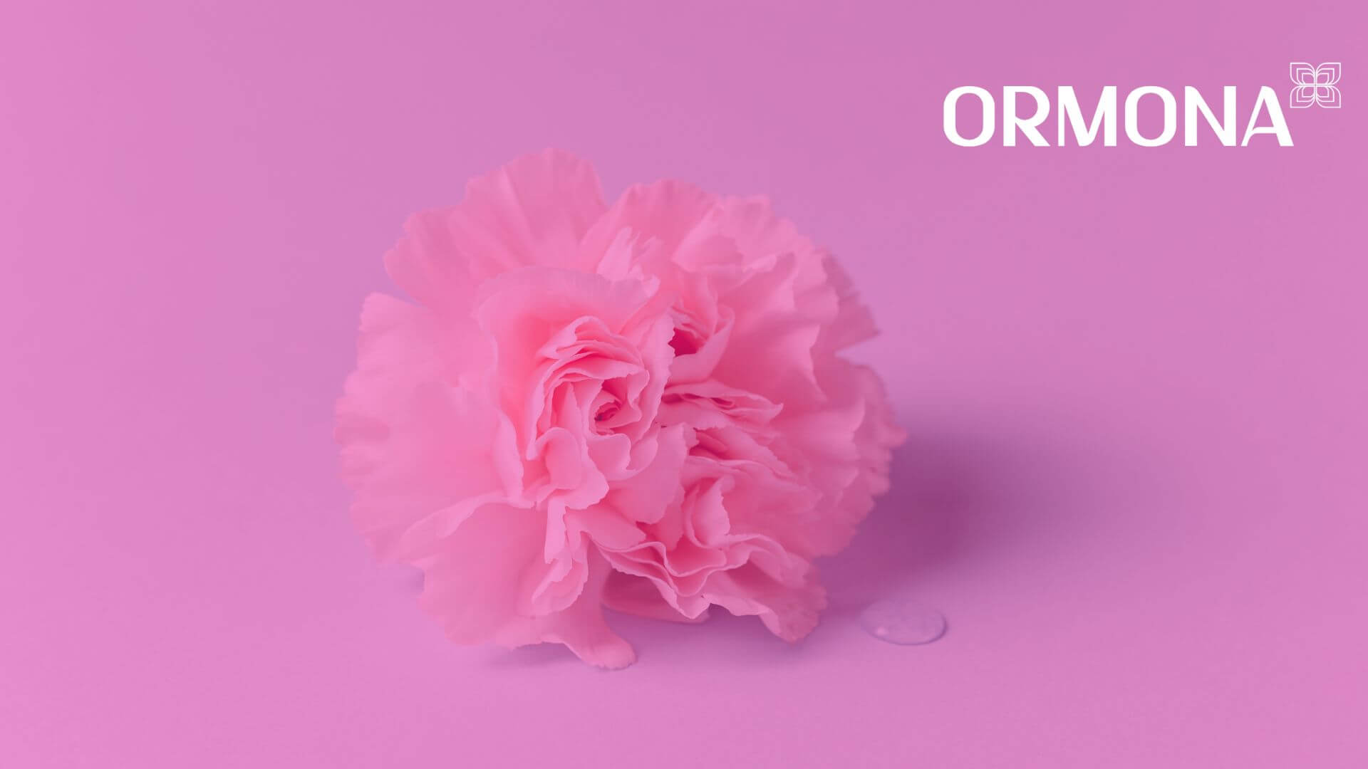 10 benefícios do Ormona® para mulheres na menopausa