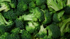 alimentos para a menopausa