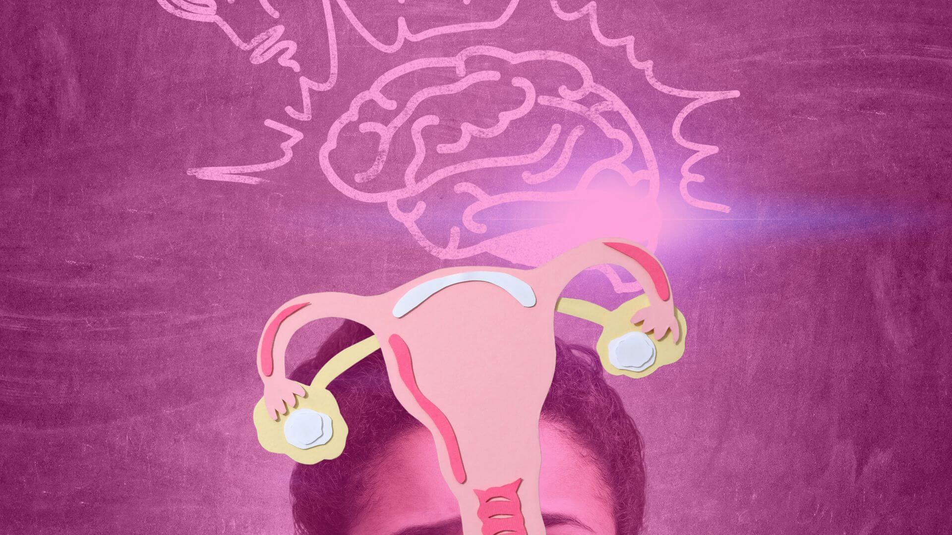 O cérebro da mulher na menopausa