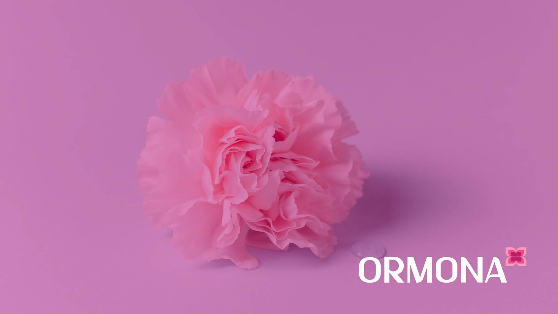 Dúvidas sobre Ormona: tudo o que você precisa saber