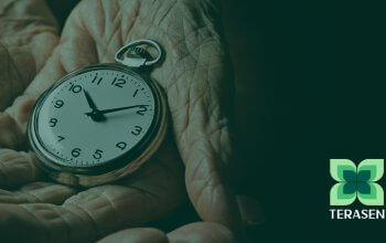 12 Hallmarks do envelhecimento: o que a ciência descobriu sobre o tempo e como Terasen atua em cada um deles